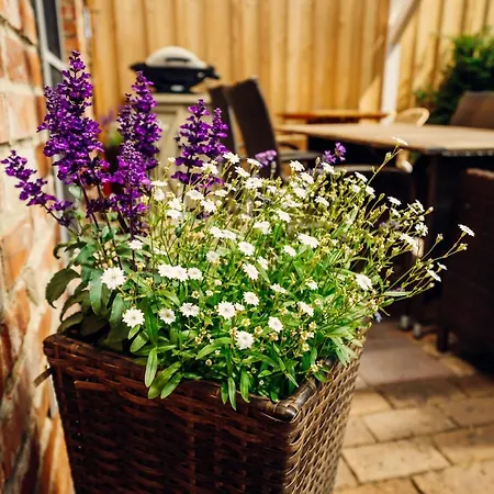 Altes Gewoelbe Mit Sauna Und Whirlpool Im Aussenbereich *