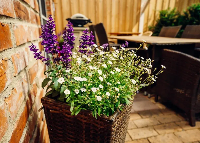 Altes Gewoelbe Mit Sauna Und Whirlpool Im Aussenbereich *